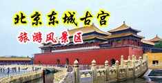 美女扒开小穴被男人捅AV中国北京-东城古宫旅游风景区